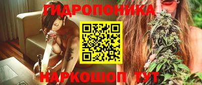 стафф Бузулук