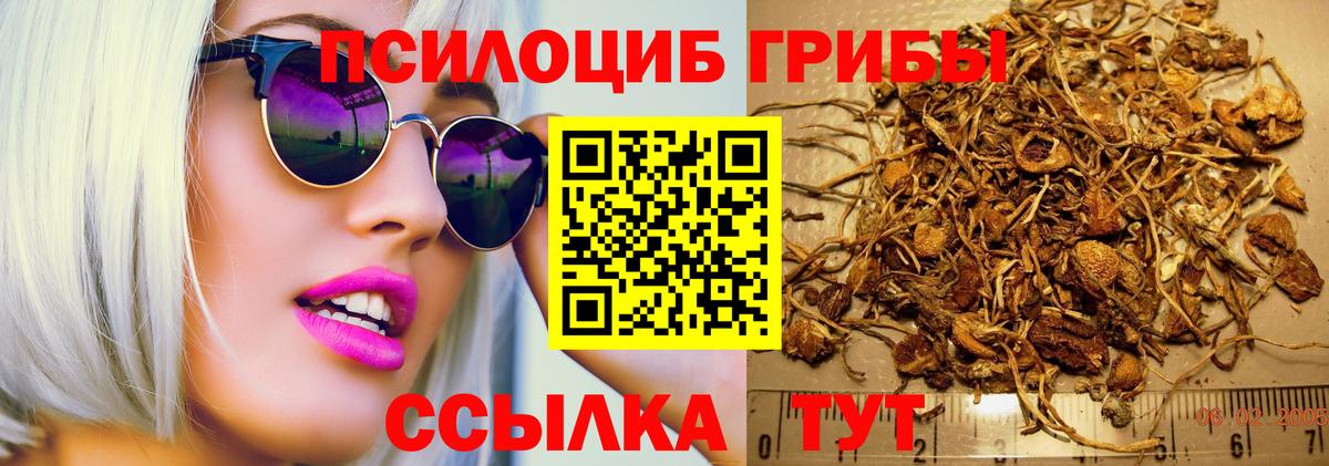Галлюциногенные грибы Psilocybe  Галлюциногенные грибы ЛСД  продажа наркотиков  Конаково  Вход с VPN 